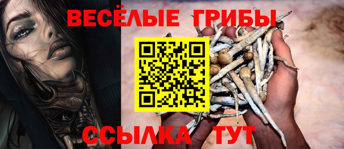 Галлюциногенные грибы MAGIC MUSHROOMS  Галлюциногенные грибы мухоморы  Ижевск  Вход с VPN 